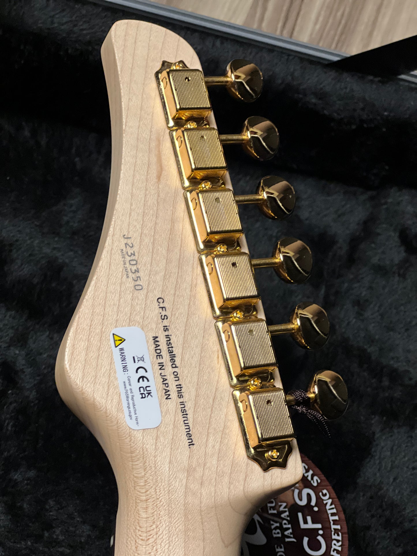 Fujigen FGN Expert EOS2-FM-R Odyssey in Ripe Kaki Gradation J230350