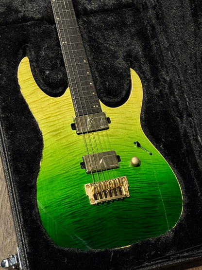 Ibanez Wooden Case in Black (Fit for RG / RGA / JEM / Etc)