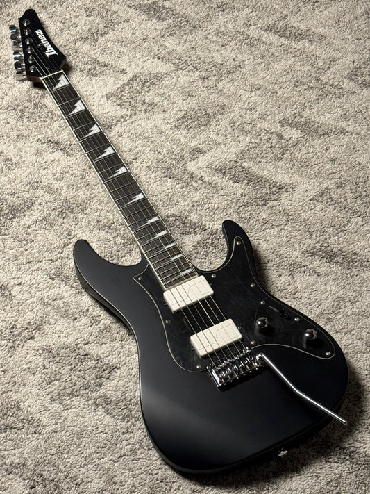 Ibanez BER10 Bernth Signature in Matte Black I250905826 (USED)