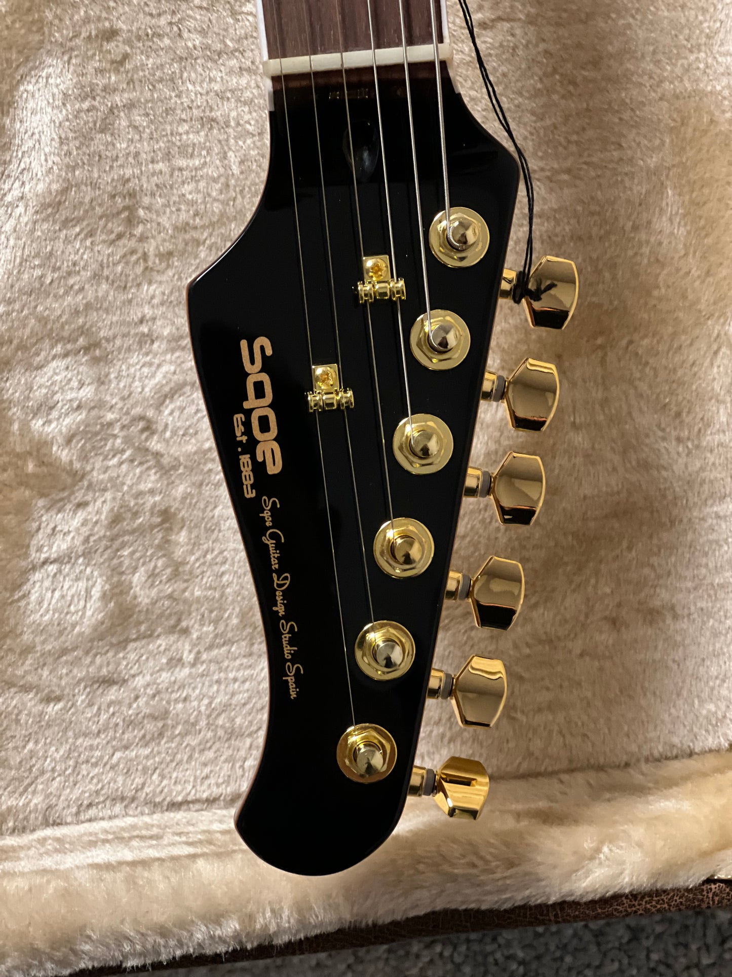 SQOE SETLP1100 Premium Caston Series Professional Limited Edition in Black