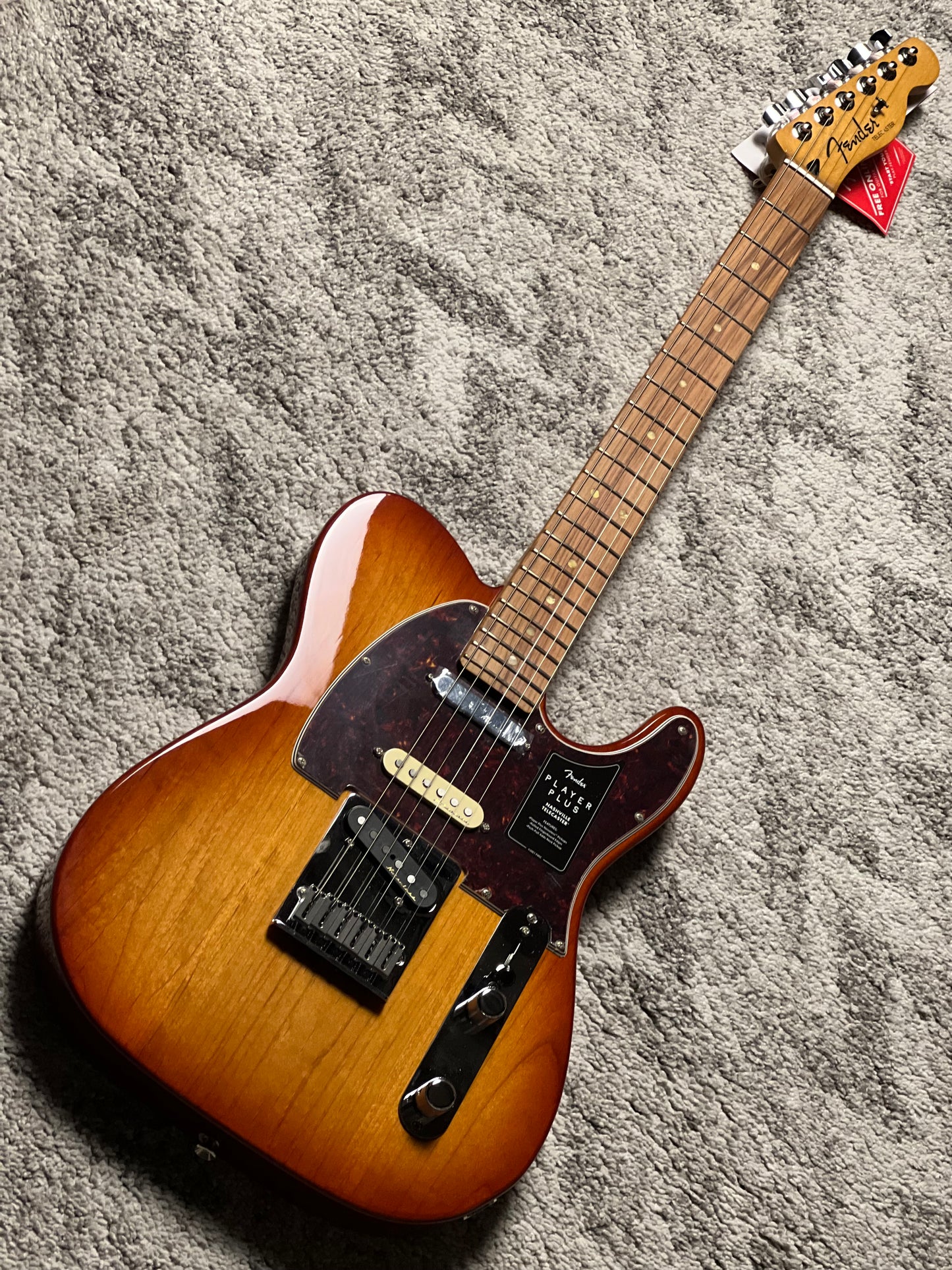 Fender Player Plus Nashville Telecaster with Pau Ferro FB in Sienna Sunburst