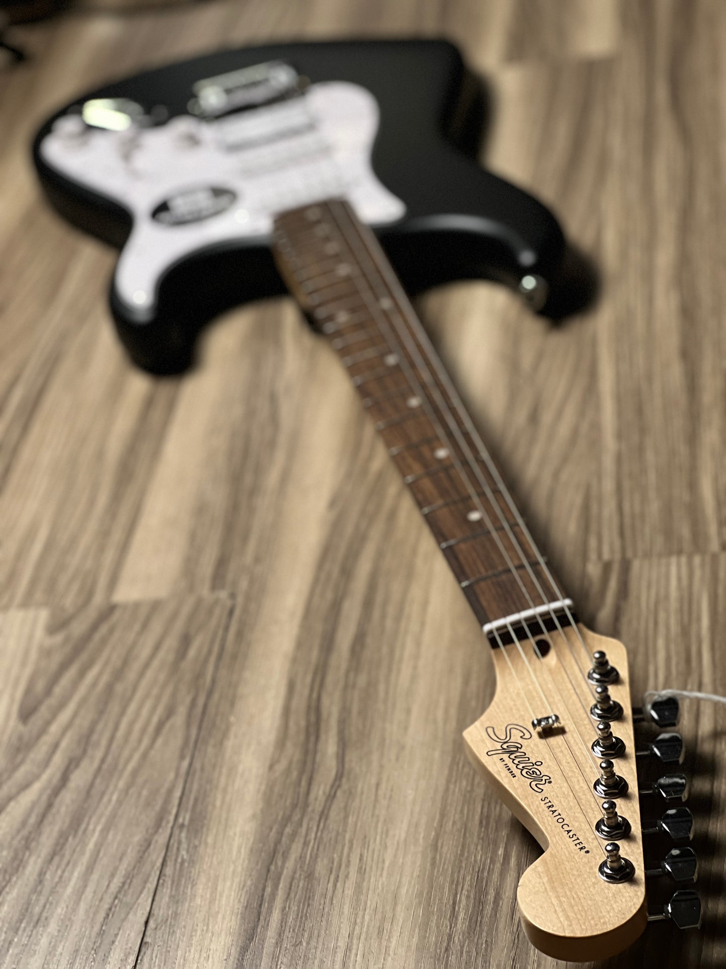 Squier Debut Series Stratocaster HT HSS with Laurel FB in Black