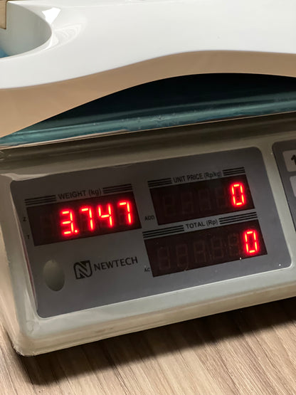 Ibanez Axion Label RGA622XH w/Case in White