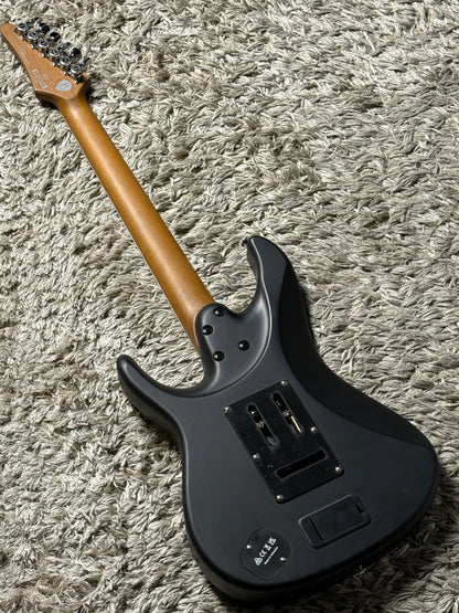 Ibanez BER10 Bernth Signature in Matte Black I260410603 (USED)