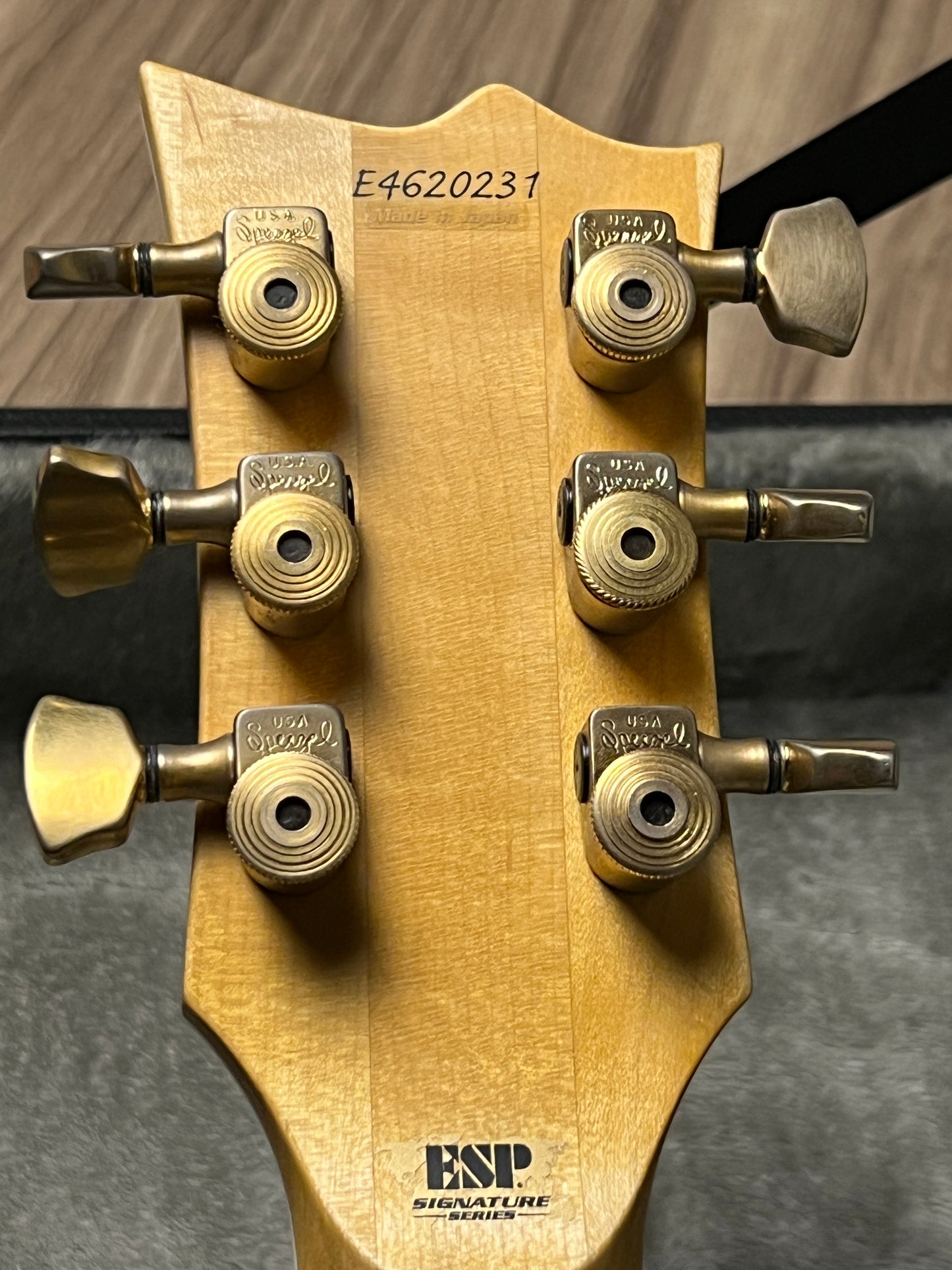 ESP Will Alder Signature Warbird Custom Shop in Distressed E4620231