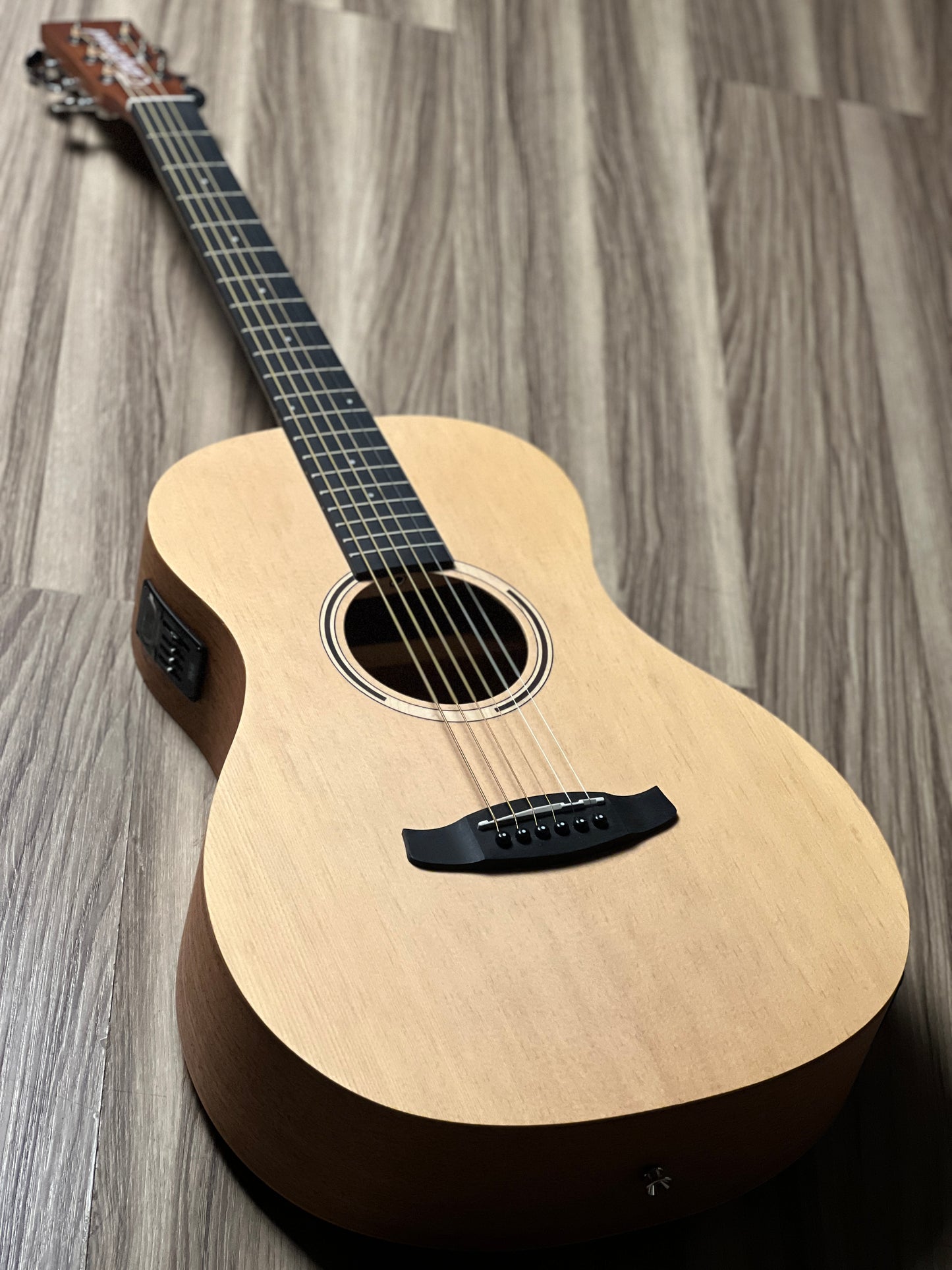 Tanglewood TR8E Parlour Size in Natural Open Pore Finish w/Bag