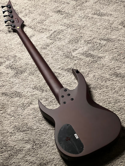 Solar AB4.5DN-E 5 String Bass in Dark Natural