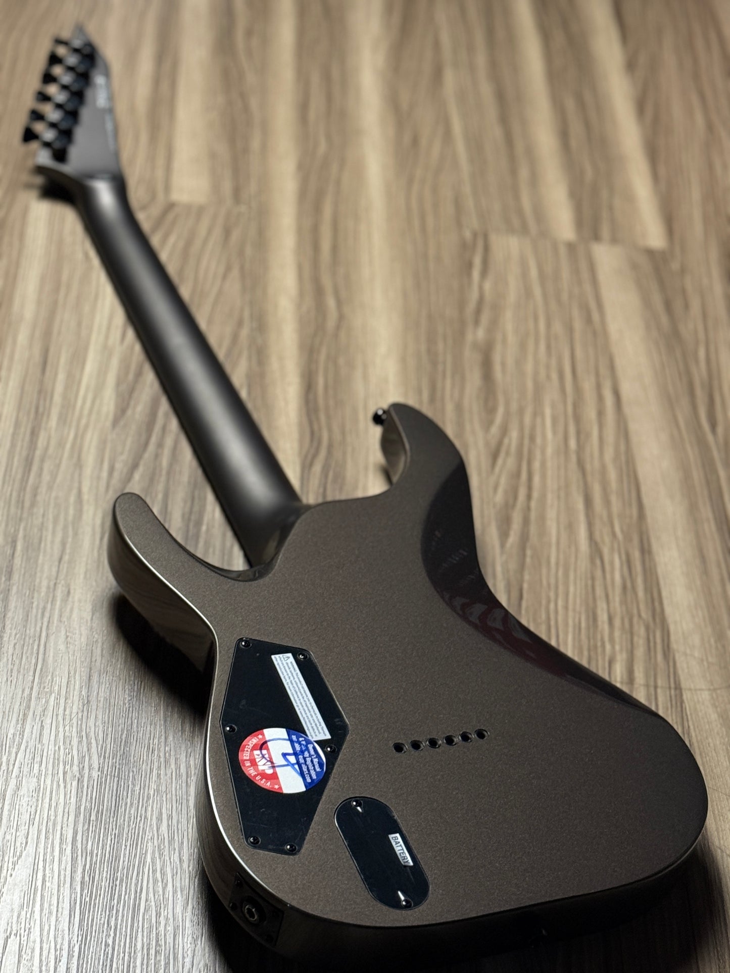 ESP LTD Mick Thomson MT-1 Signature in Obsidian Metallic