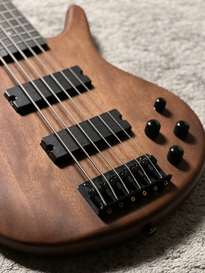 Ibanez GSR206B-WNF 6-String Bass Guitar in Walnut Flat