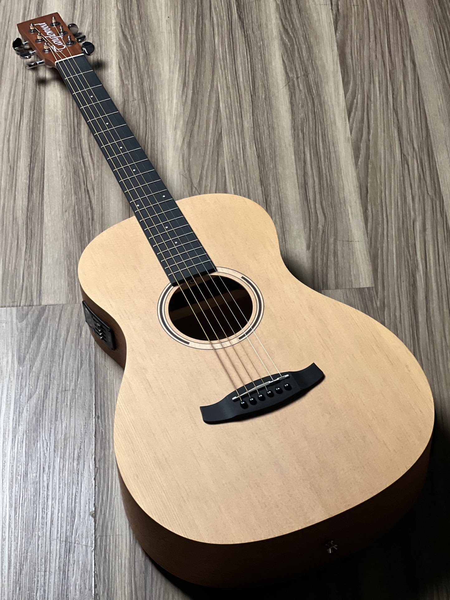 Tanglewood TR8E Parlour Size in Natural Open Pore Finish w/Bag