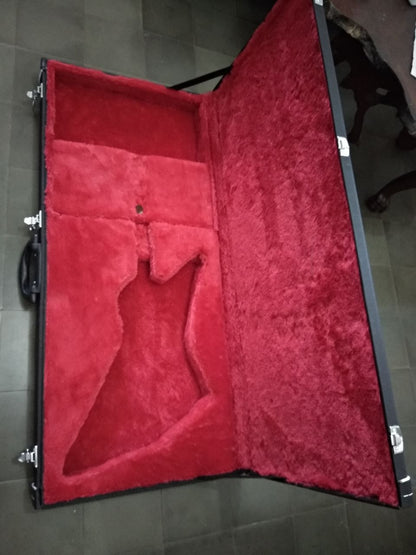 Epiphone / GIbson Explorer Case in Black