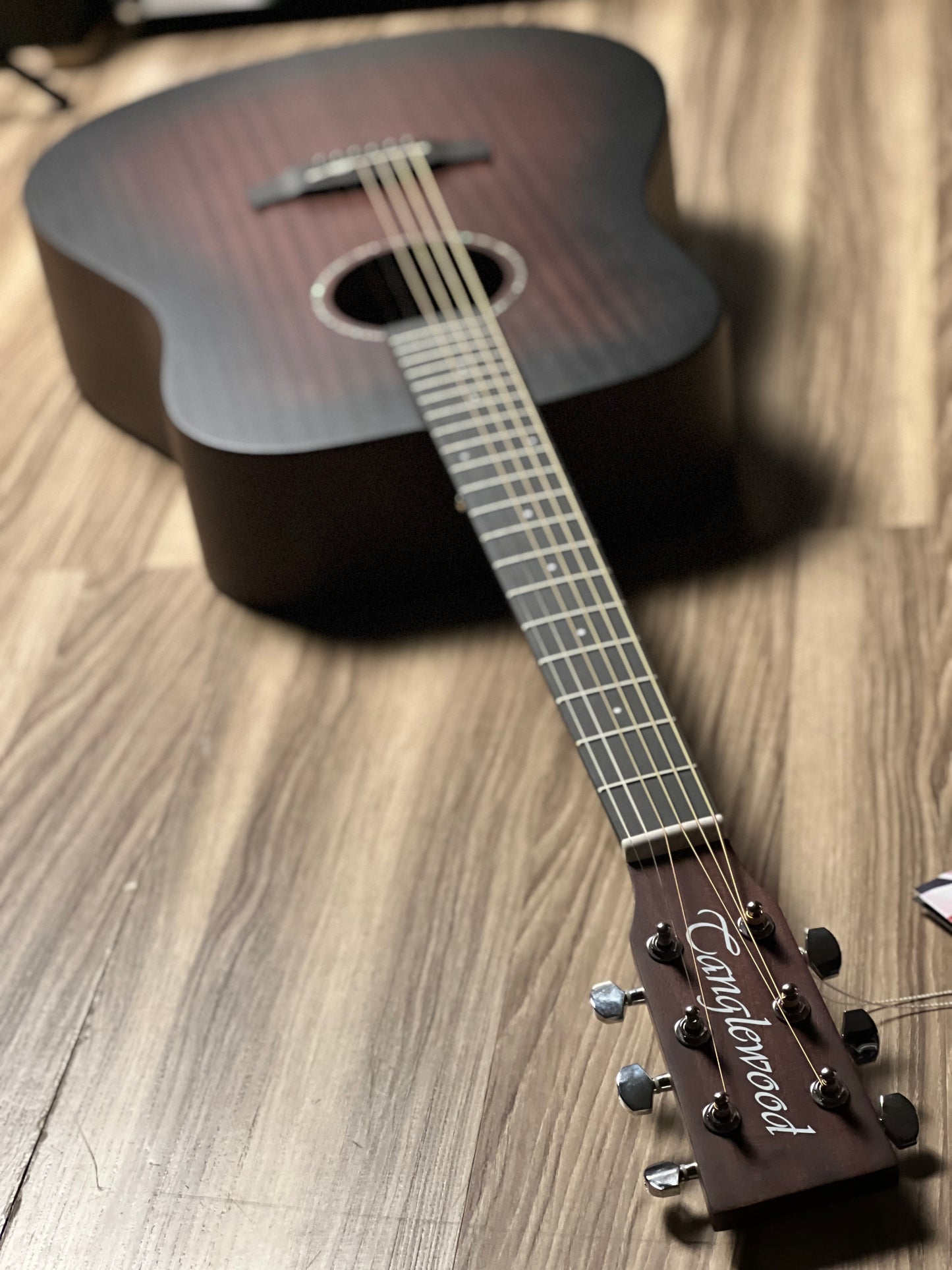 Tanglewood Crossroads TWCR-DE Dreadnought w/Bag