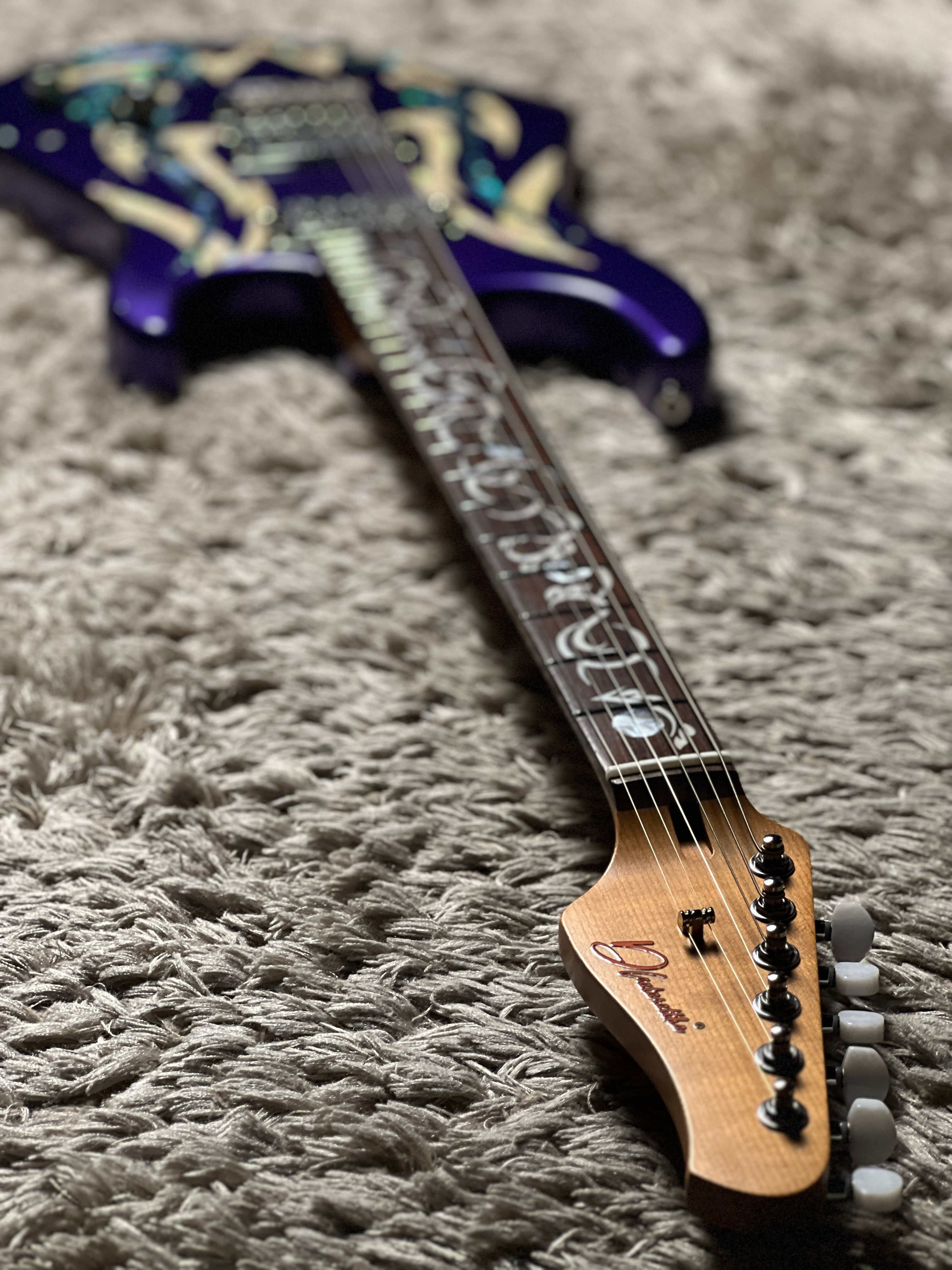 Dhatarattha Custom DST HH Artist Hand Paint 