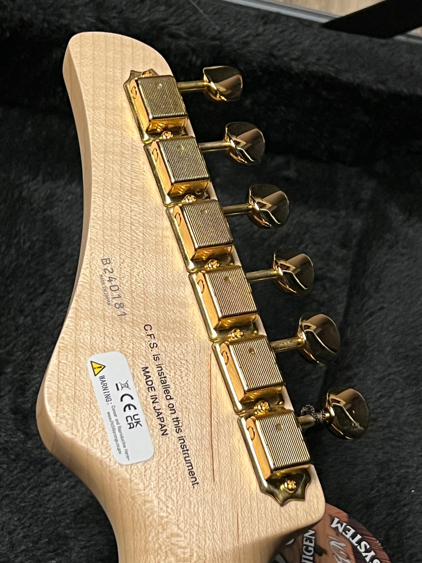 Fujigen FGN Expert EOS2-FM-R Odyssey in Navy Blue Gradation B240181