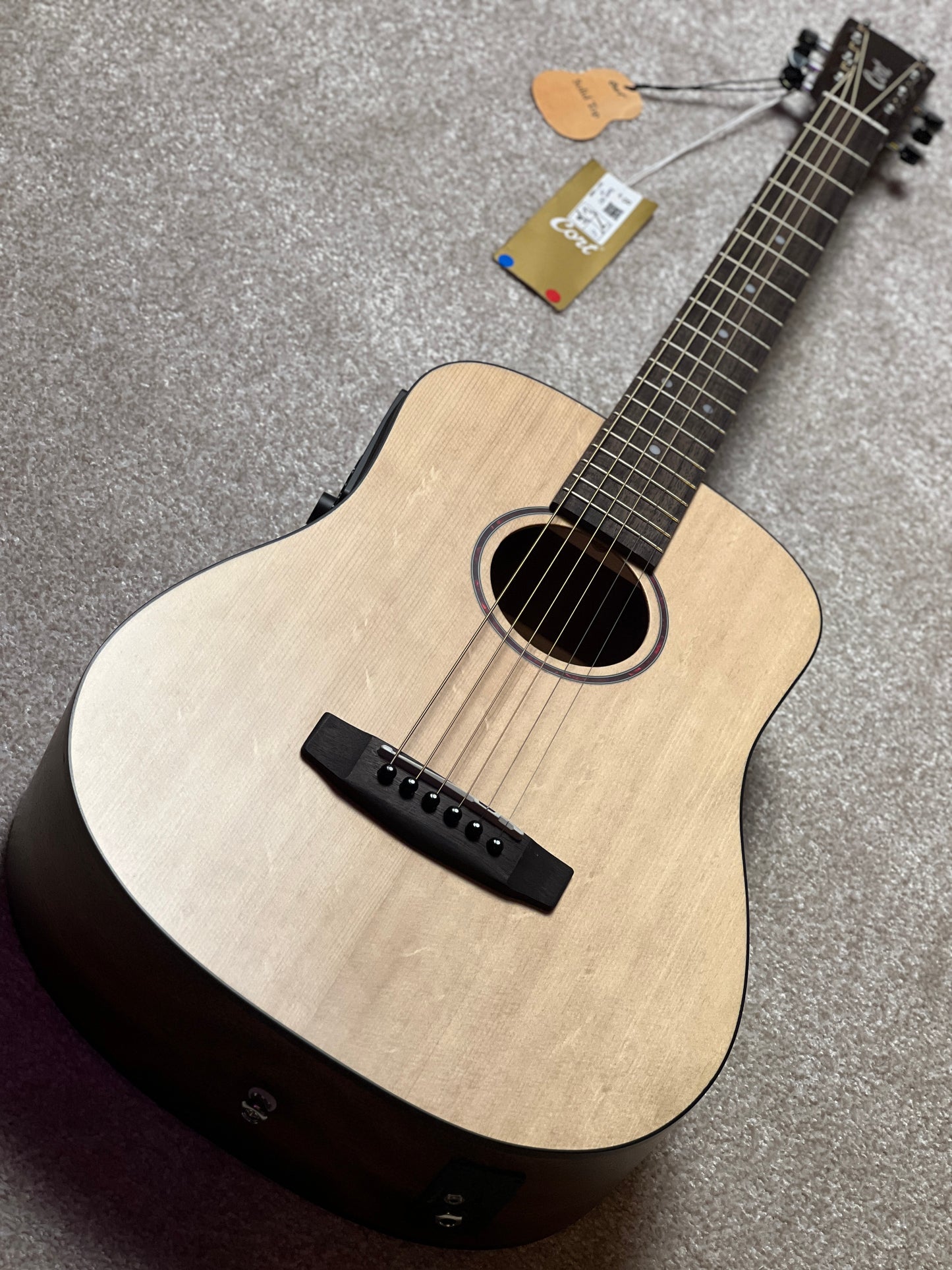 Cort Earth GO in Open Pore