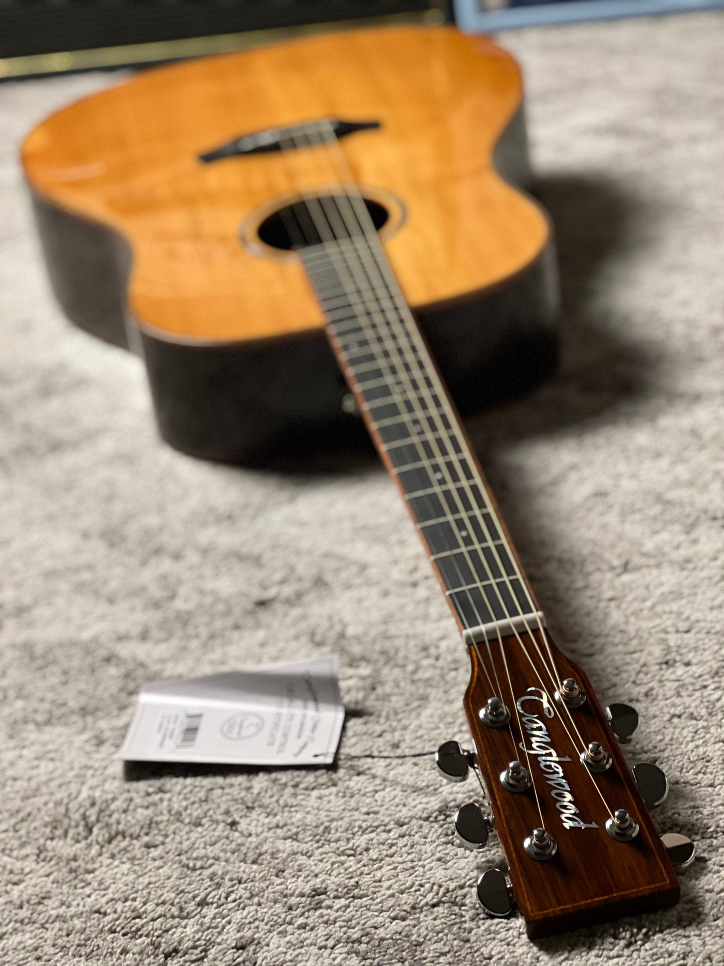 Tanglewood TRS5-SE Rosewood Smart Solid Top Sloped Shoulder Dreadnought Acoustic w/ Pickup in Natural Gloss