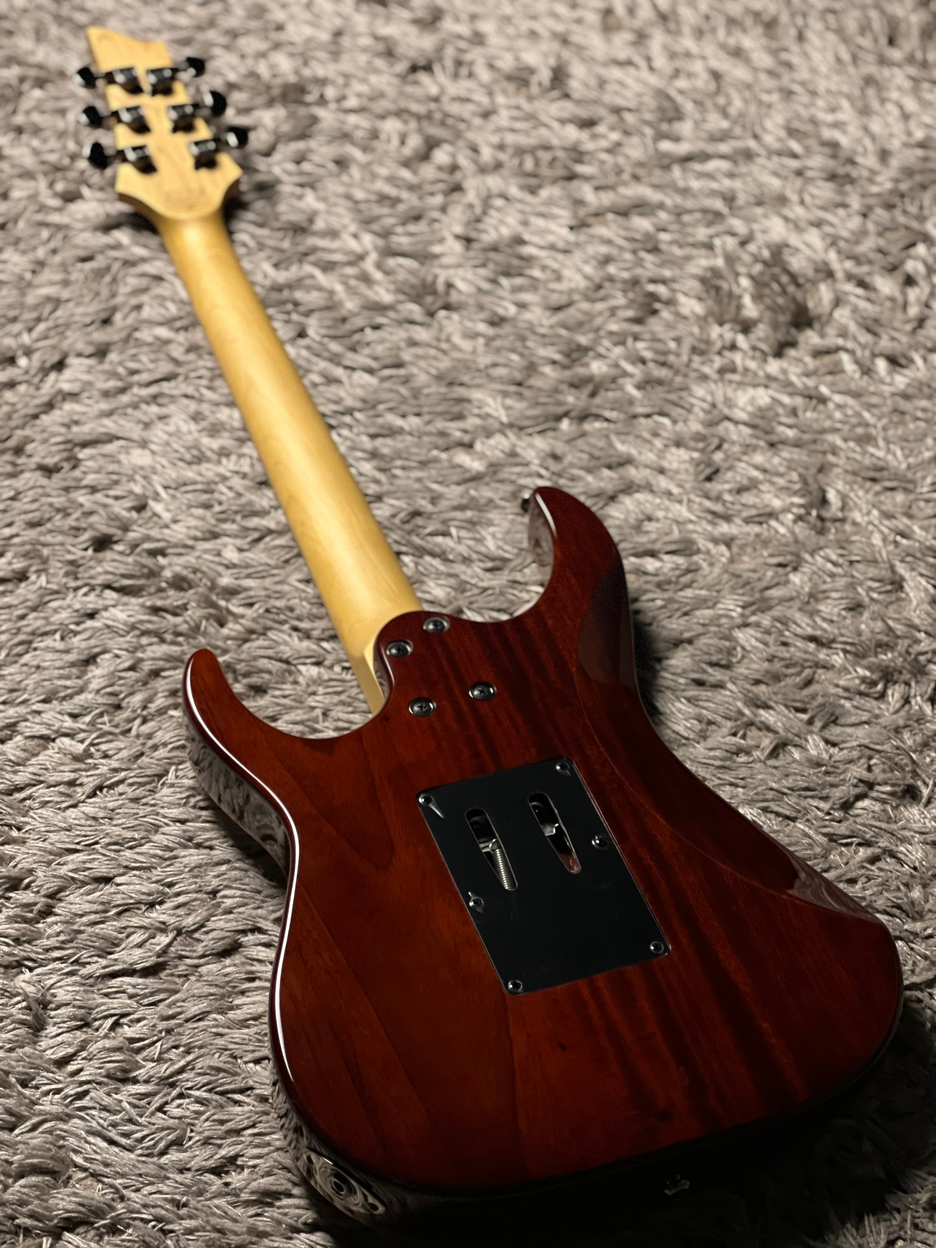 Schecter Banshee-6 FR Extreme Vintage Sunburst – nafiriguitar.com