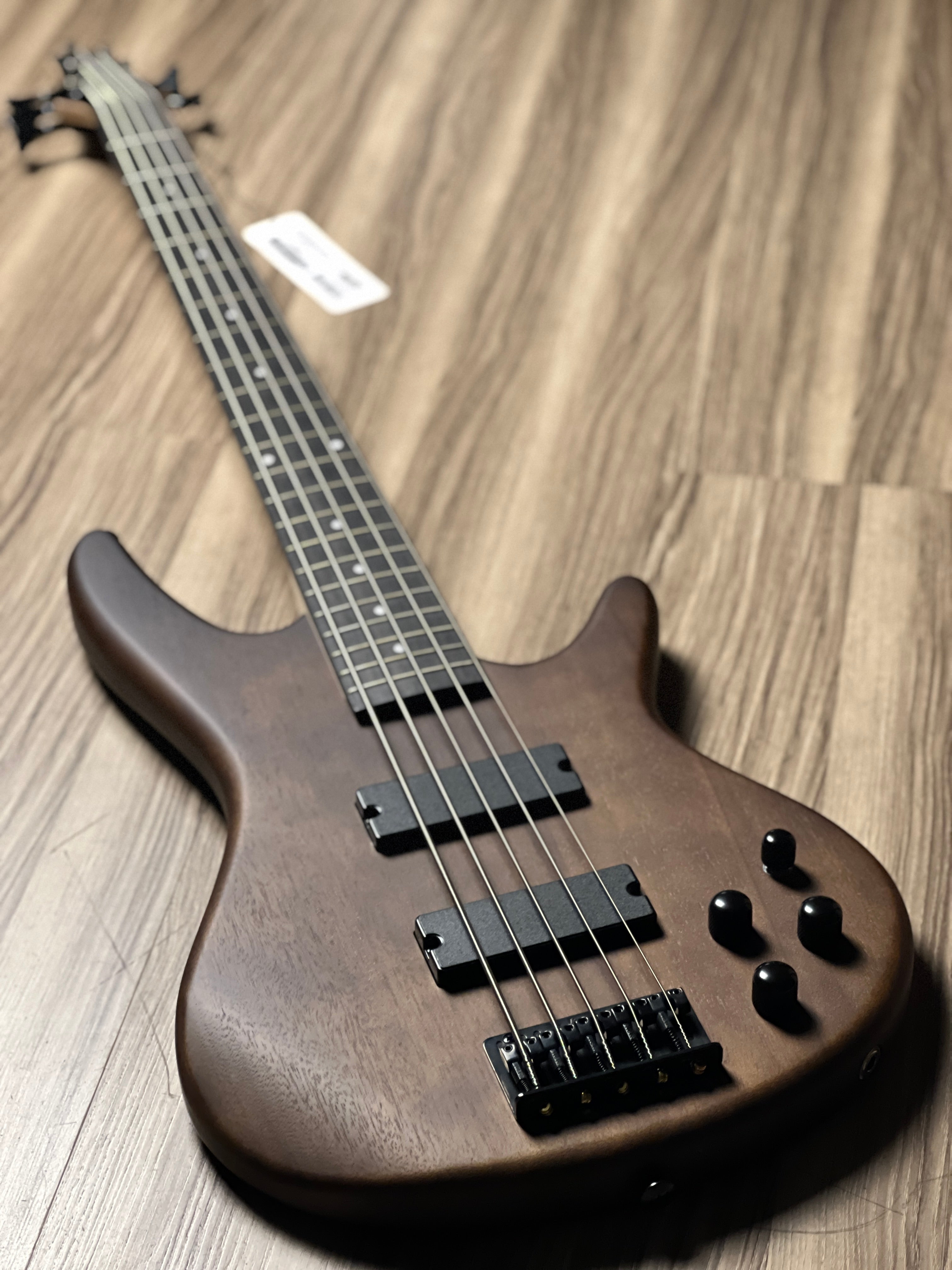 Ibanez GSR205B-WNF 5-String in Walnut Flat – nafiriguitar.com