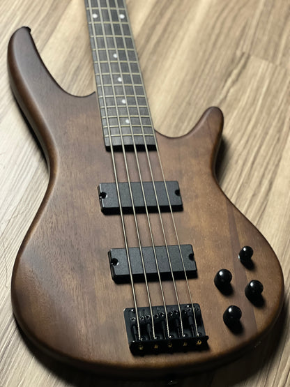 Ibanez GSR205B-WNF 5-String in Walnut Flat