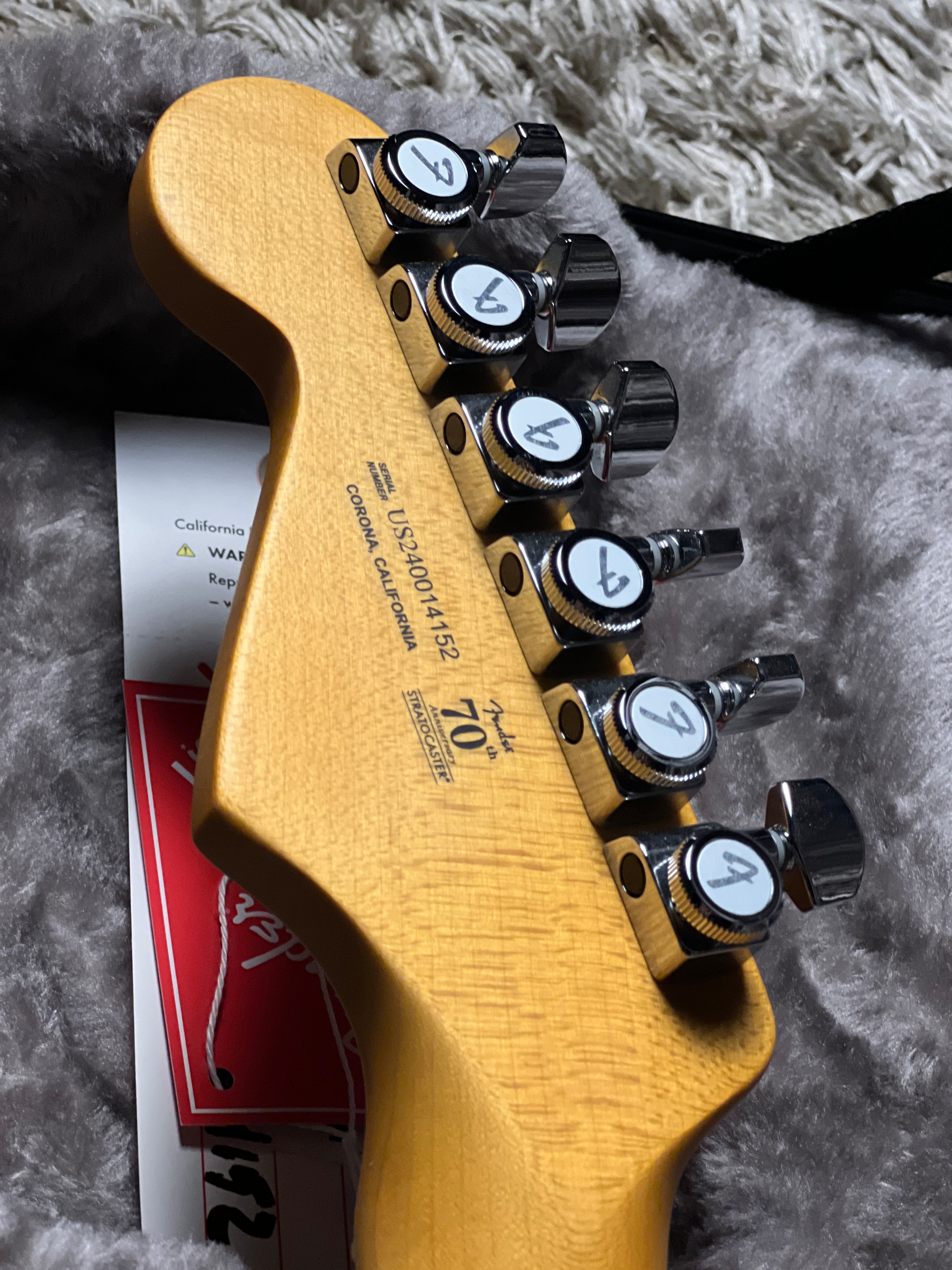 Fender American Ultra II Stratocaster with Maple FB in Avalanche