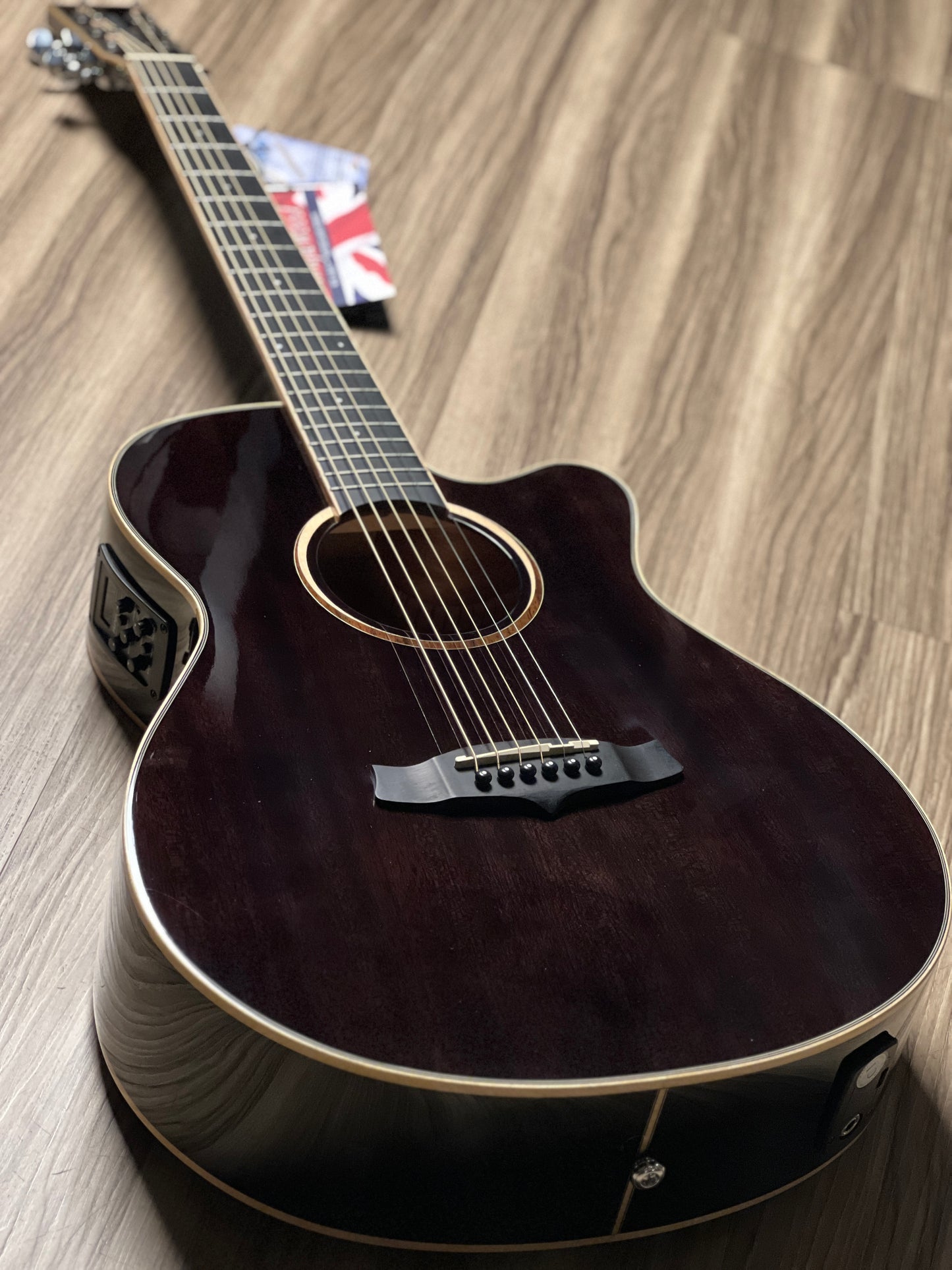 Tanglewood TW4 E BS Winterleaf Black Shadow Gloss