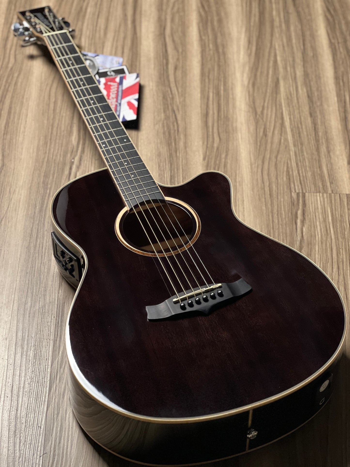 Tanglewood TW4 E BS Winterleaf Black Shadow Gloss