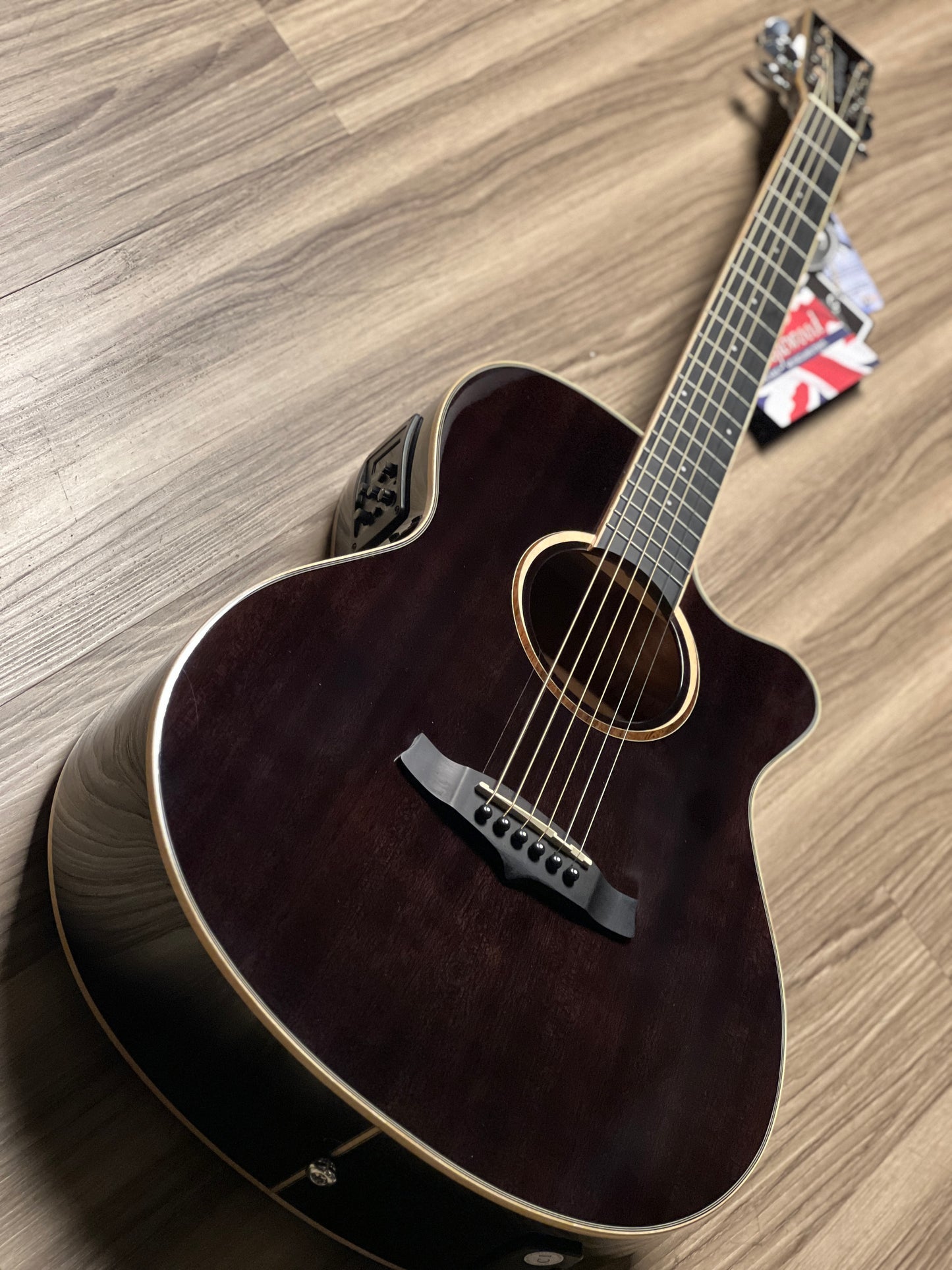 Tanglewood TW4 E BS Winterleaf Black Shadow Gloss