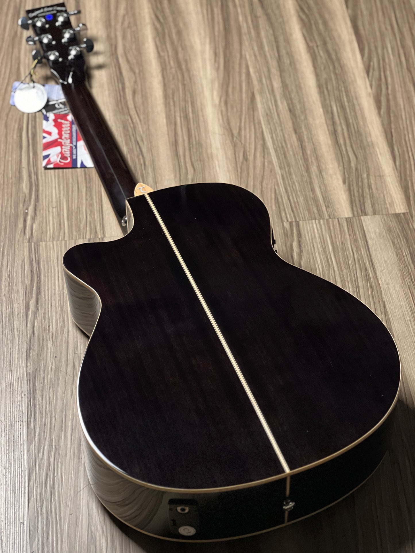 Tanglewood TW4 E BS Winterleaf Black Shadow Gloss