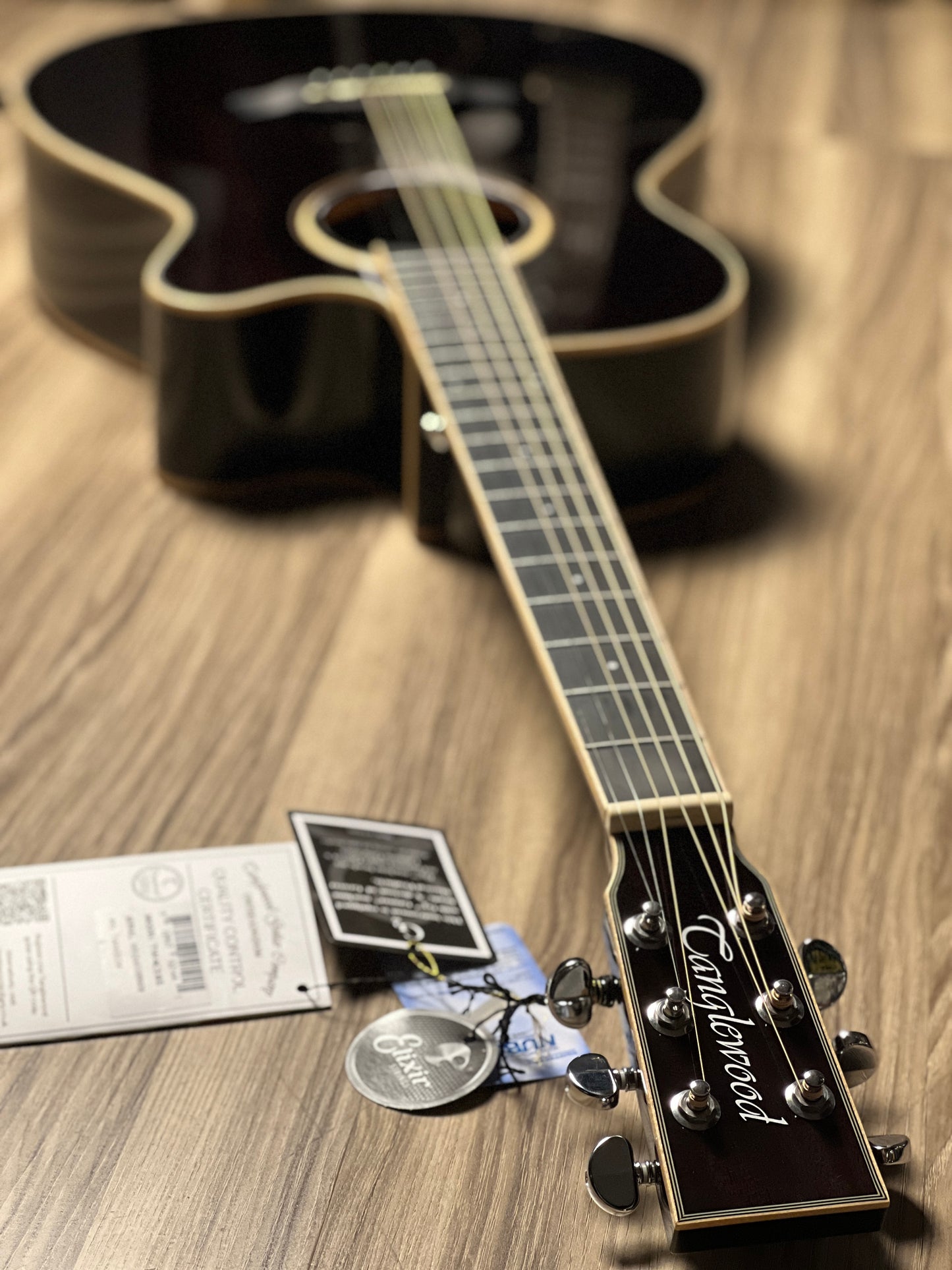 Tanglewood TW4 E BS Winterleaf Black Shadow Gloss