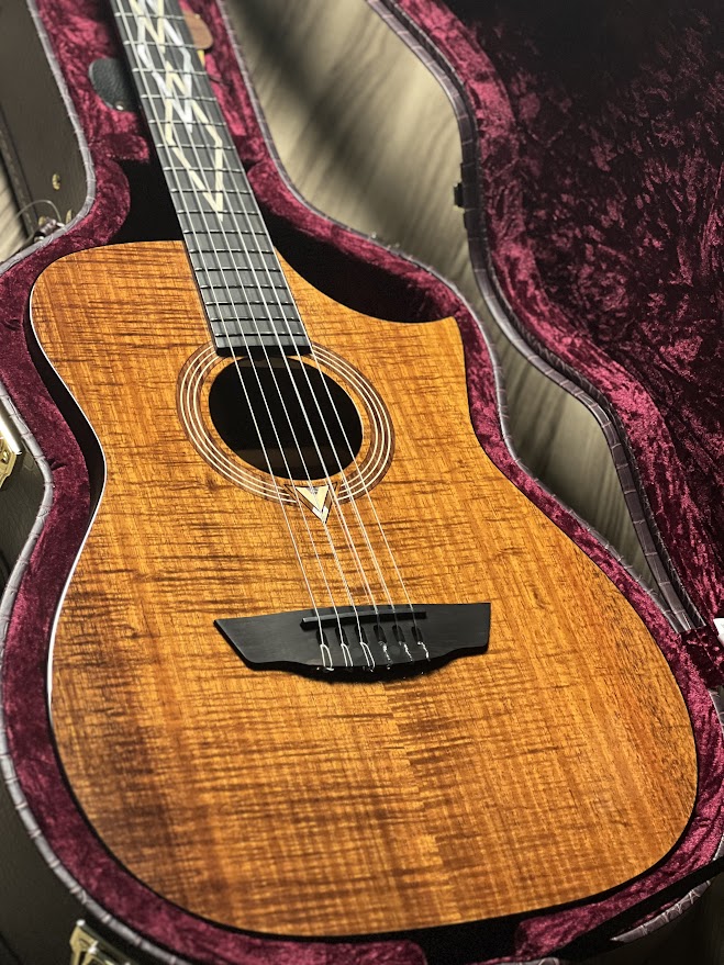 frank gambale gear Cort Luxe Nylon Frank Gambale in Brown Glossy – nafiriguitar.com