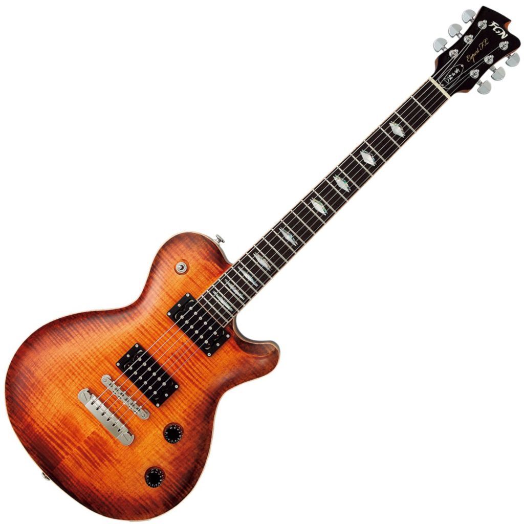 Fujigen FGN EFL-FM/VV Expert in Vintage Violin – nafiriguitar.com