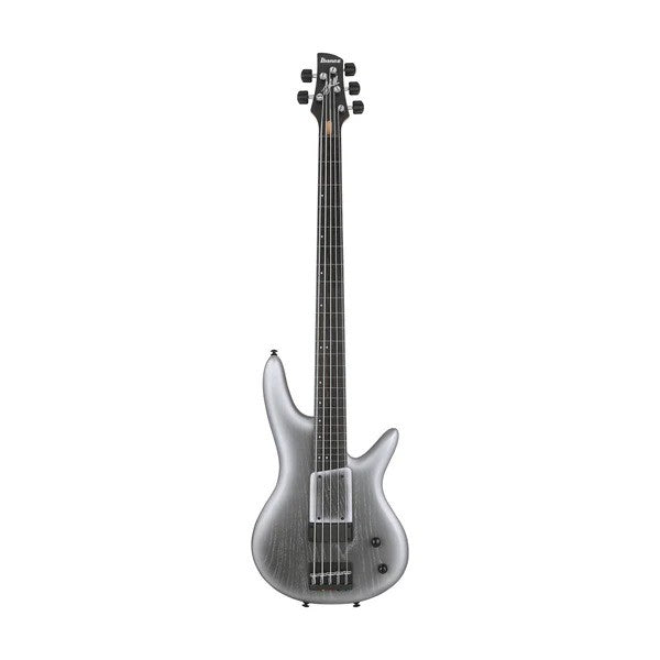 Ibanez GWB25TH-SWF 5-String Electric Bass Guitar w/Gig bag in Silver Wave Burst Flat