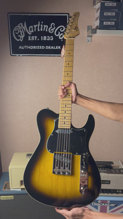 Fujigen FGN J-Standard Iliad JIL2ASHM 2TS in 2 Tone Sunburst