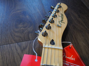 Fender Player Series Telecaster คอเมเปิล Tidepool