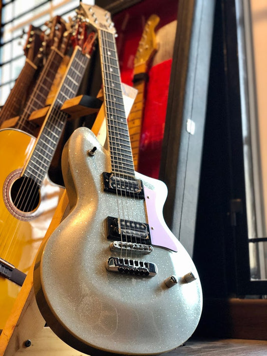 Washburn P2 - Silver Sparkle