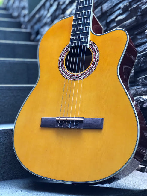 Chard EC3940C Acoustic Electric Natural in Yellow Natural with Fishman