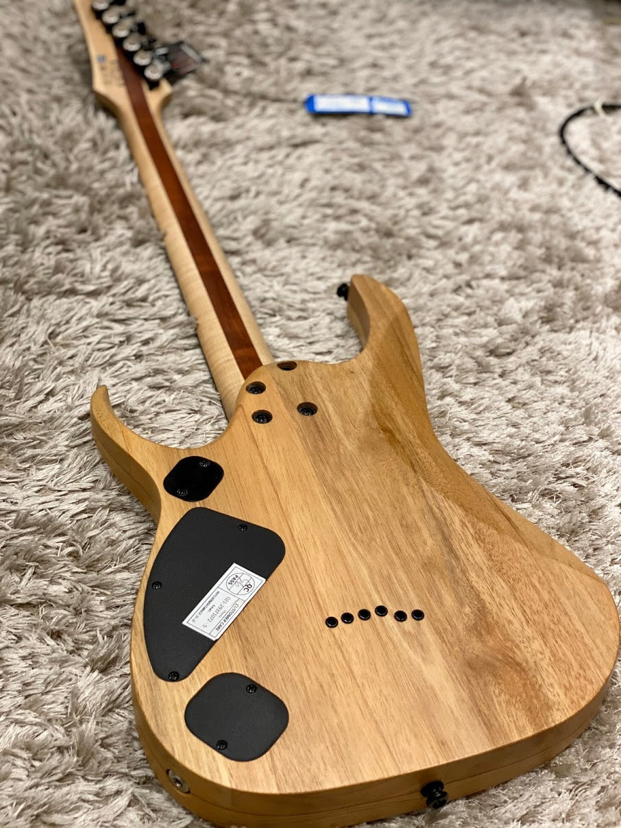 Ibanez RGD Iron Label RGDIX6PB - Surreal Black Burst