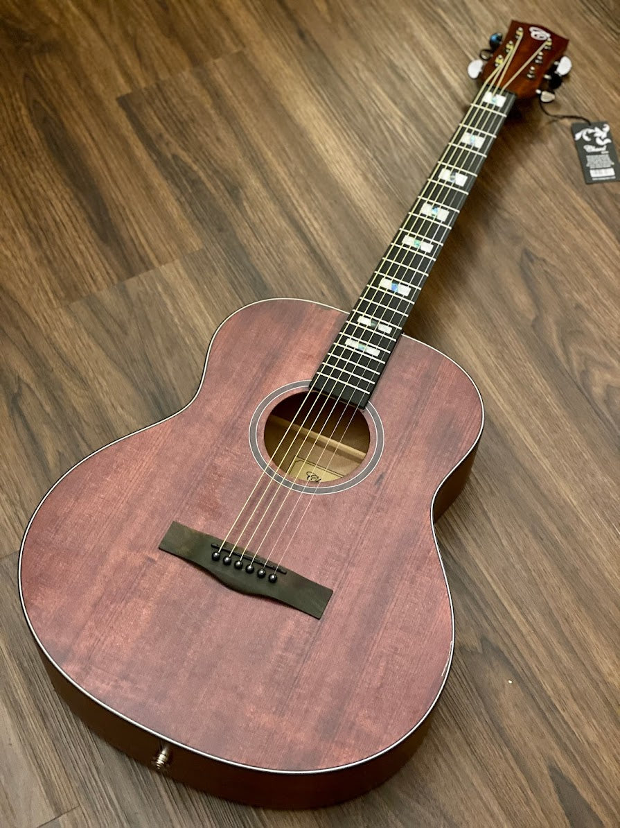 Chard WD48OM Acoustic Electric Solid Top สีเหลือง Natural Satin พร้อม Fishman Presys 
