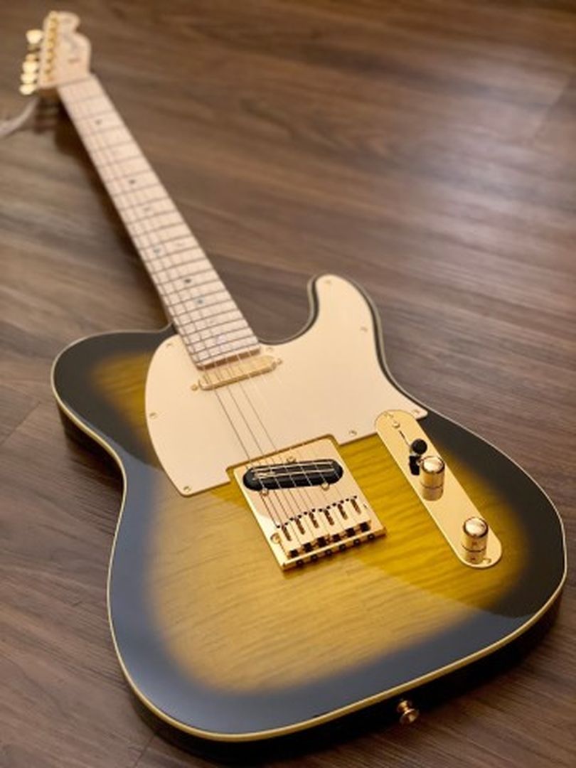 Fender Japan Ritchie Kotzen Signature Telecaster พร้อม Maple FB สี Brown Sunburst