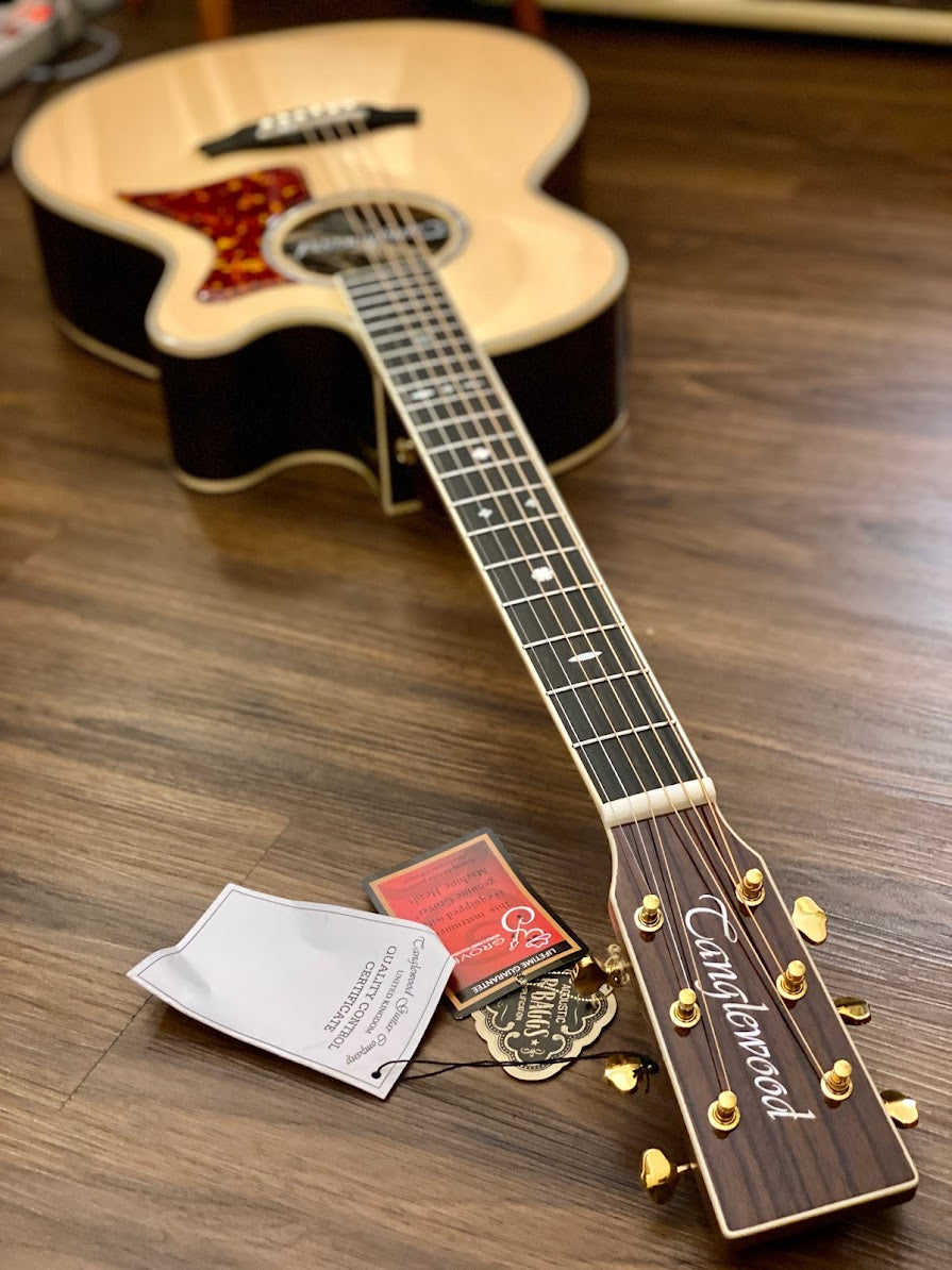 Tanglewood TW45 H SR E with Hardshell Case and LR Baggs Stagepro Eleme ...