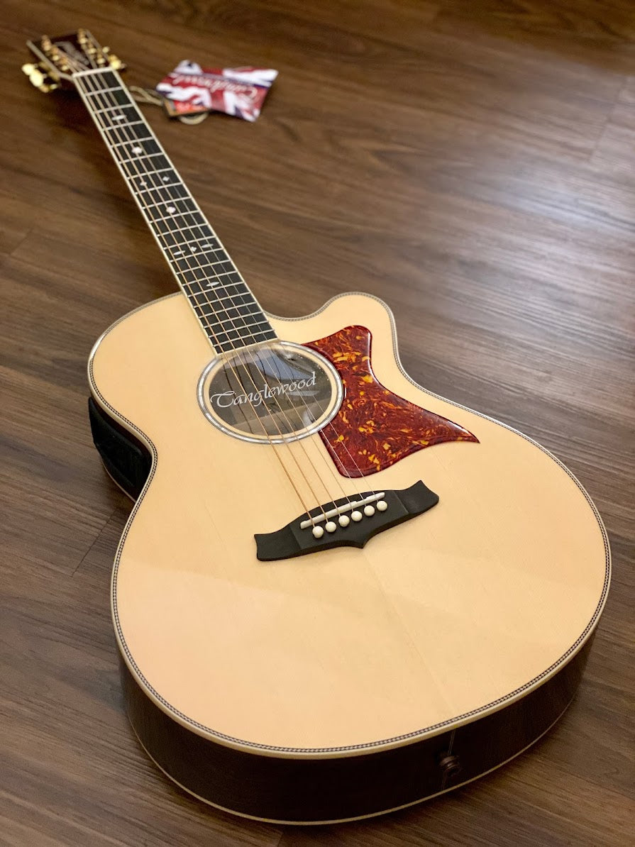 Tanglewood TW45 H SR E with Hardshell Case and LR Baggs Stagepro Eleme ...