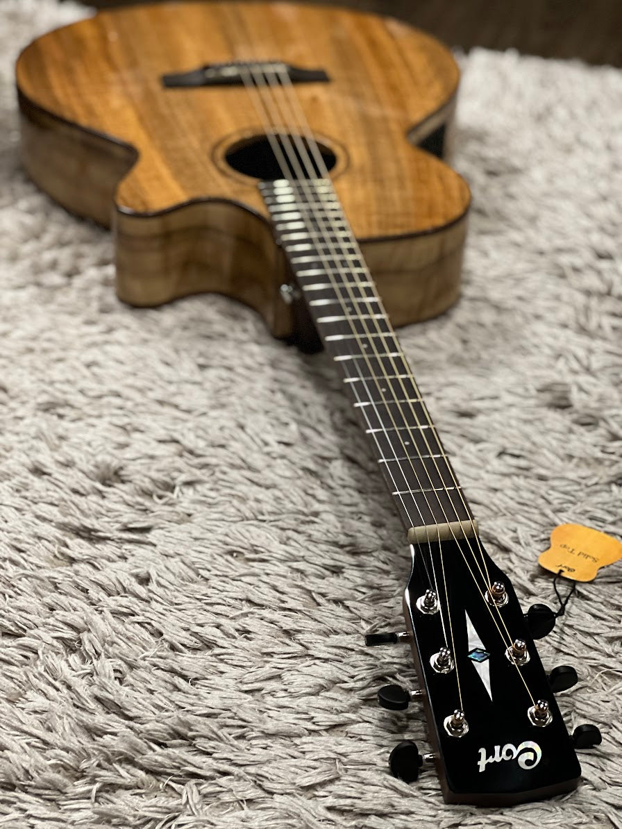 CORT SFX-Myrtlewood in Natural Gloss –
