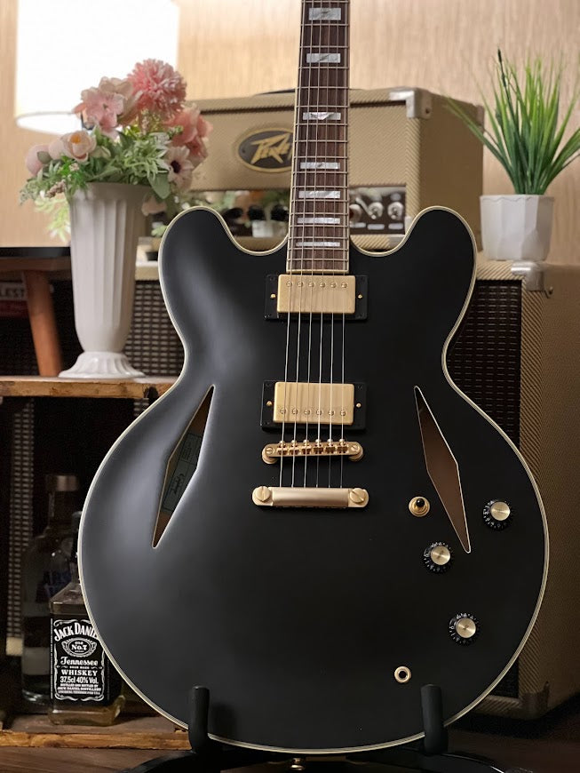 Epiphone Emily Wolfe Sheraton Stealth Semi-Hollow in Black Aged Gloss