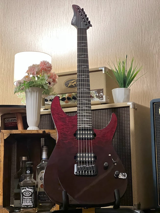 Schecter Reaper 6 Elite BB - Blood Burst