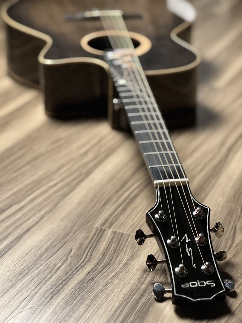 SQOE Spain SQ-PFZL-BK TransAcoustic with Effects in Black Burst